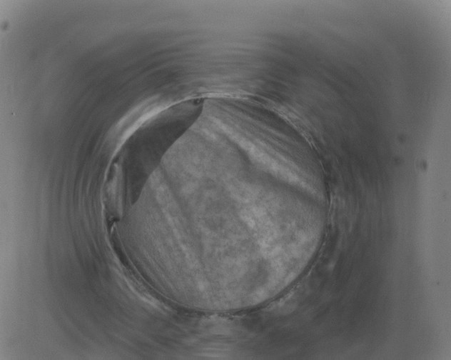 X0000084600290200703091936