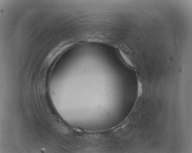 X0000084600291200703091936