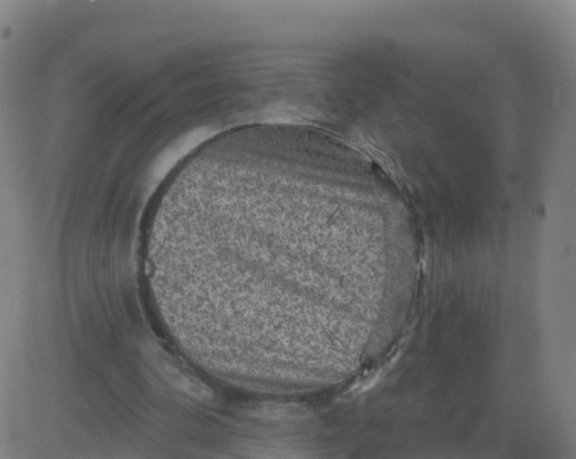 X0000084600292200703091936