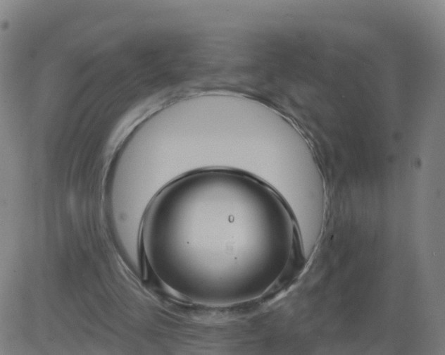 X0000084600293200703091936