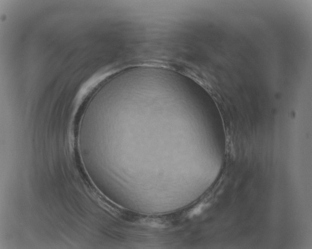 X0000084600294200703091936