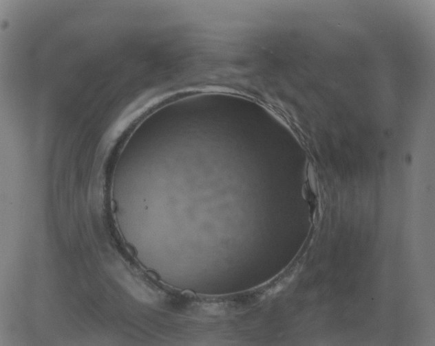 X0000084600295200703091936