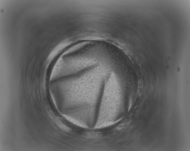 X0000084600296200703091936