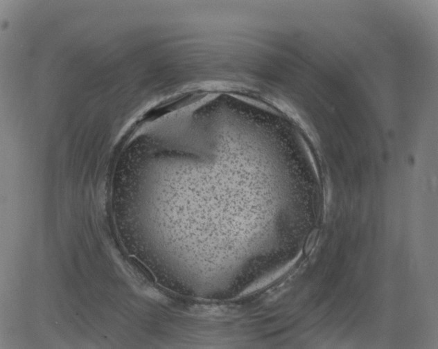 X0000084600297200703091936