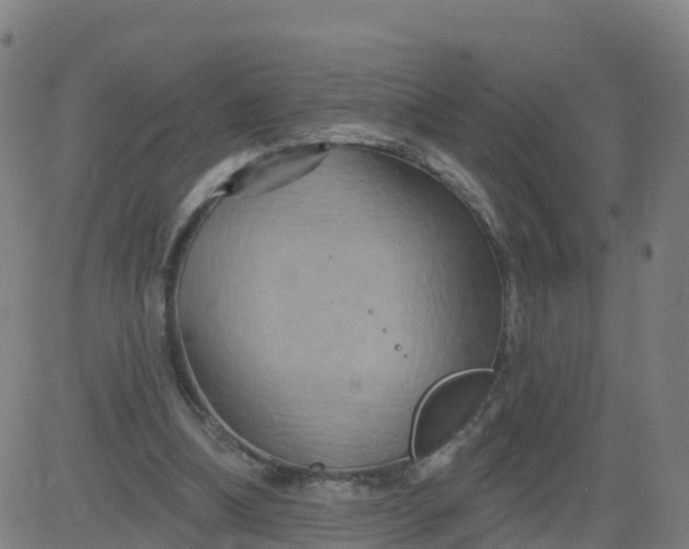 X0000084600298200703091936