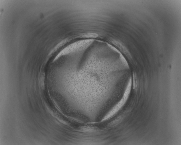 X0000084600300200703091936