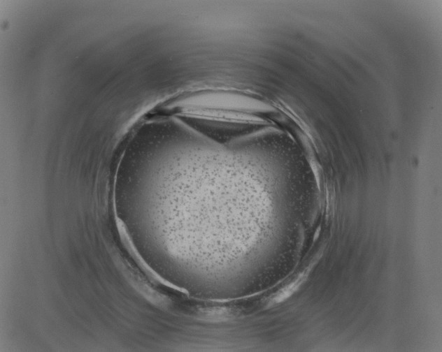 X0000084600301200703091936