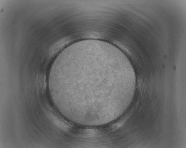 X0000084600302200703091936