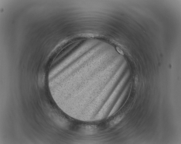 X0000084600304200703091936