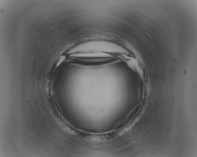 X0000084600305200703091936