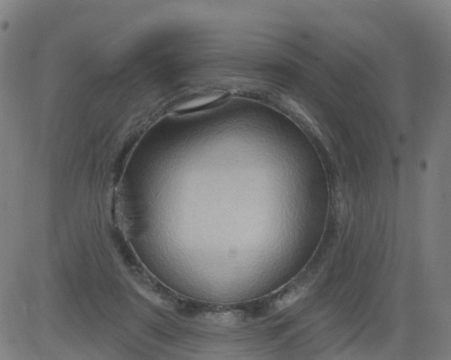 X0000084600307200703091936