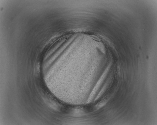 X0000084600308200703091935