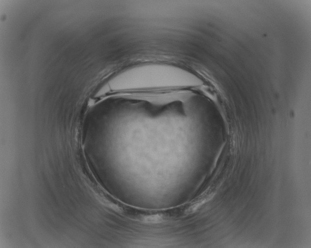 X0000084600309200703091935