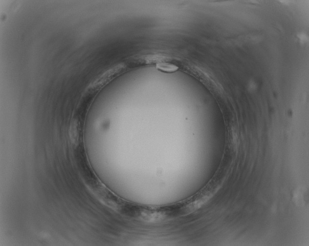 X0000084600311200703091935