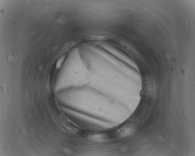 X0000084600312200703091935