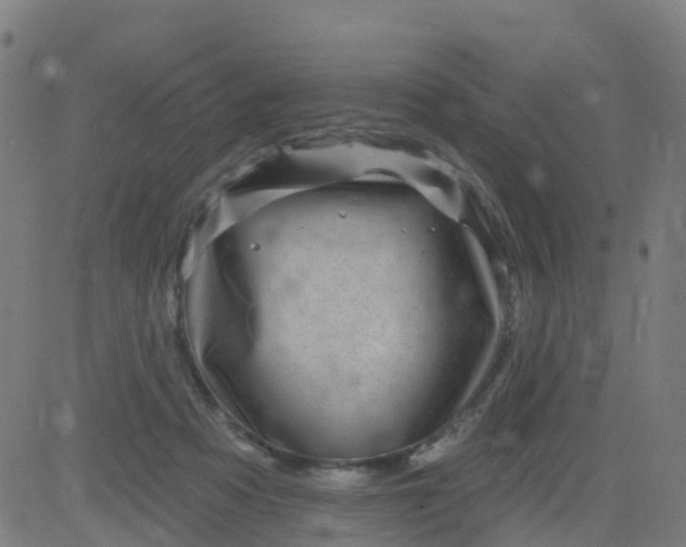 X0000084600313200703091935