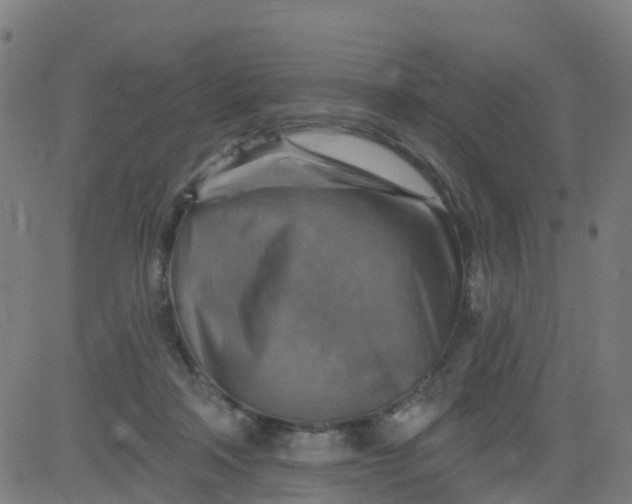 X0000084600314200703091935