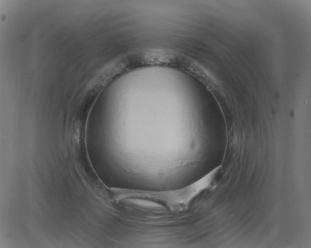 X0000084600315200703091935