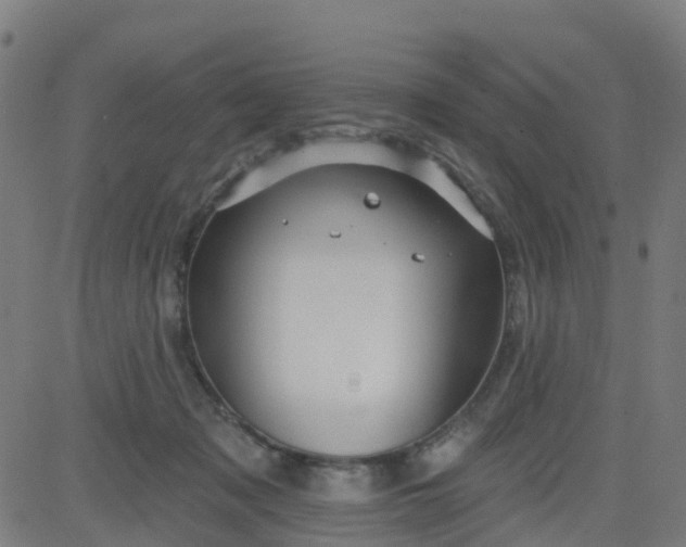 X0000084600317200703091935