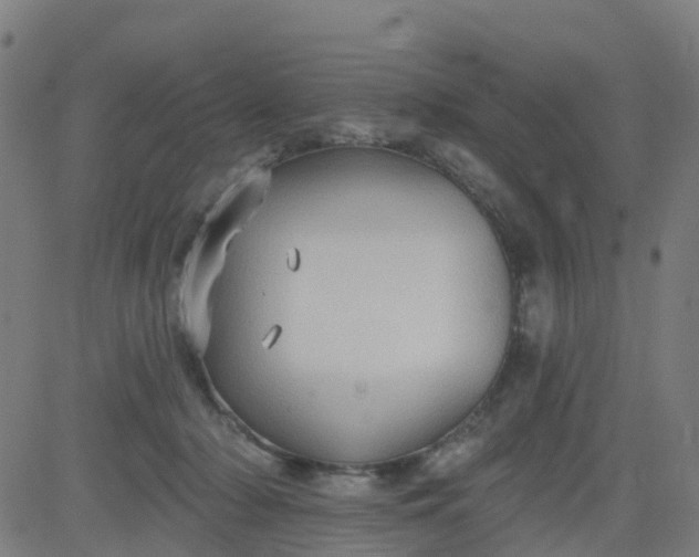 X0000084600318200703091935