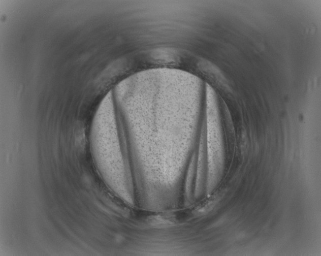 X0000084600320200703091935