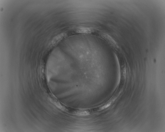 X0000084600322200703091935