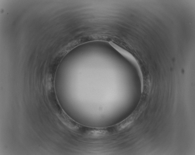 X0000084600323200703091935