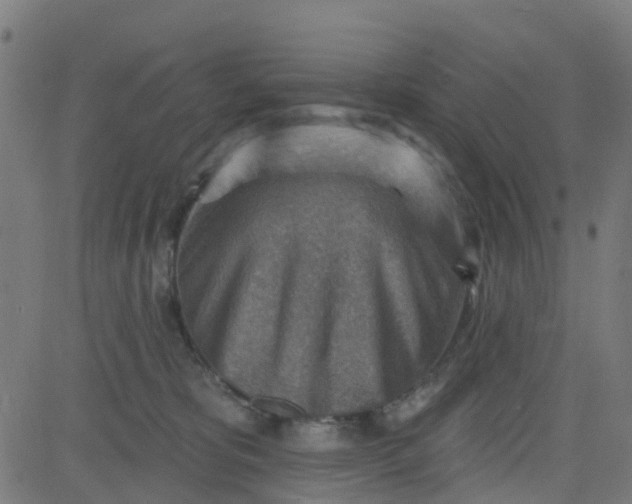 X0000084600325200703091935