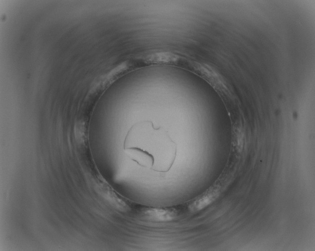 X0000084600326200703091935