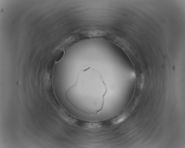 X0000084600327200703091935