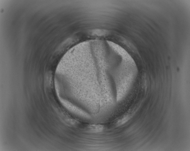 X0000084600328200703091935