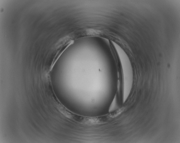 X0000084600329200703091935