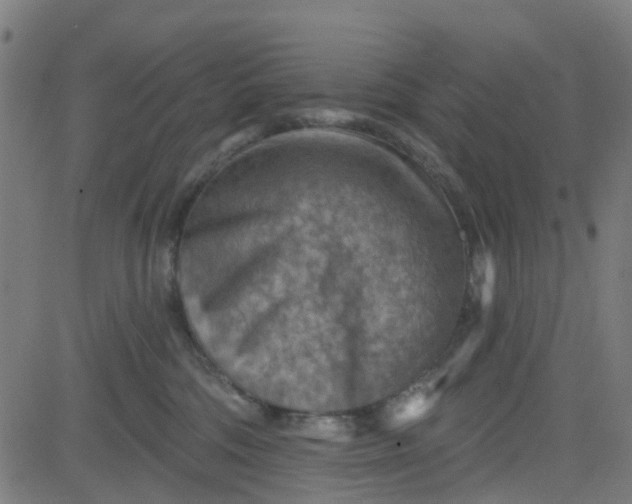 X0000084600330200703091935