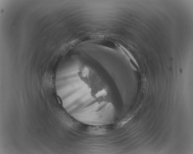 X0000084600331200703091935