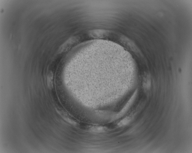 X0000084600332200703091935