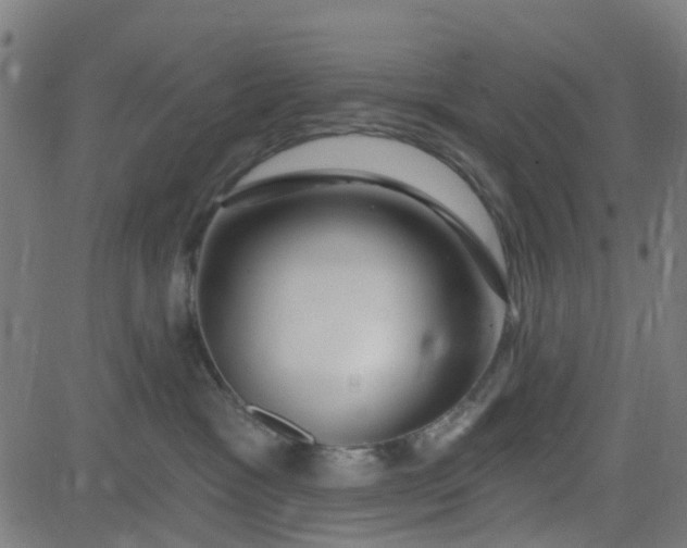 X0000084600333200703091935