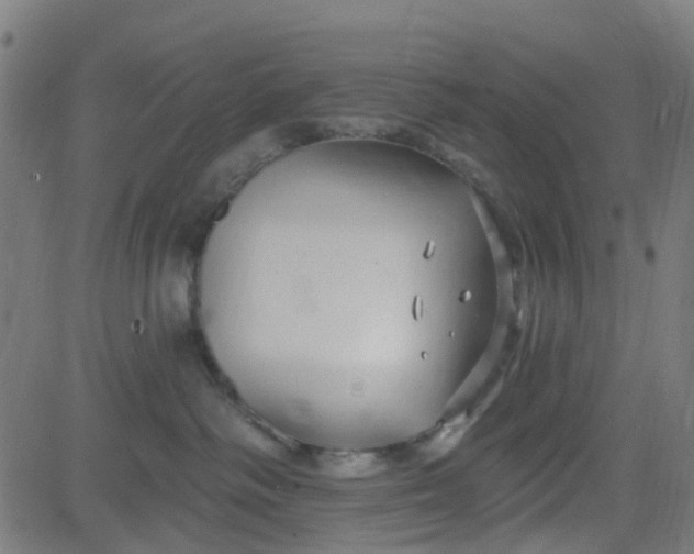 X0000084600334200703091935