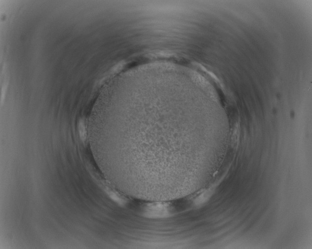 X0000084600335200703091935