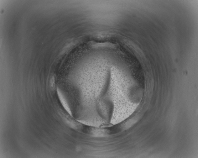 X0000084600336200703091935