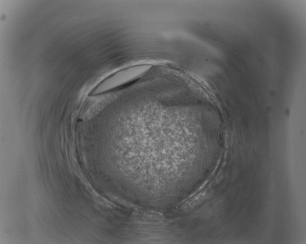 X0000084600337200703091934