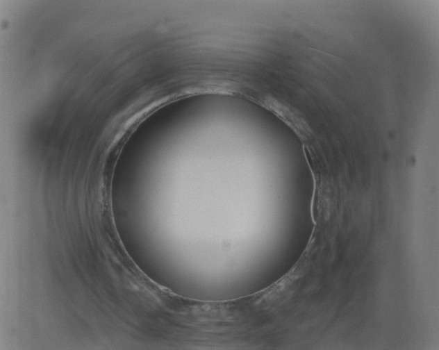 X0000084600338200703091934