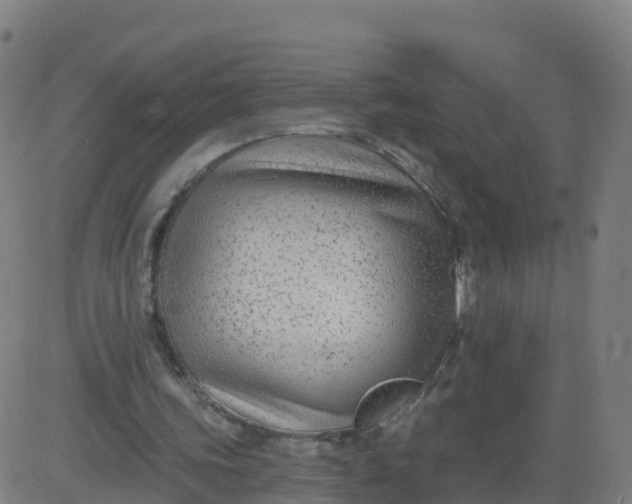 X0000084600339200703091934