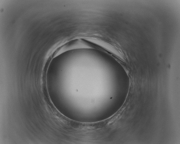 X0000084600340200703091934