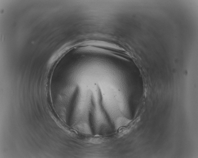 X0000084600341200703091934