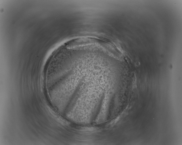 X0000084600342200703091934