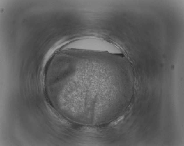 X0000084600343200703091934