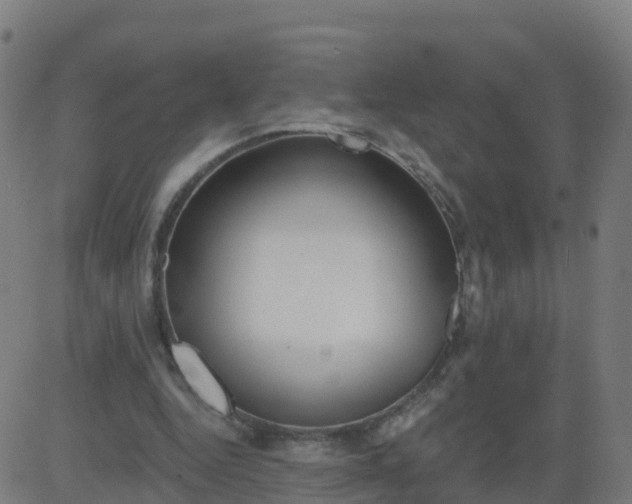 X0000084600344200703091934