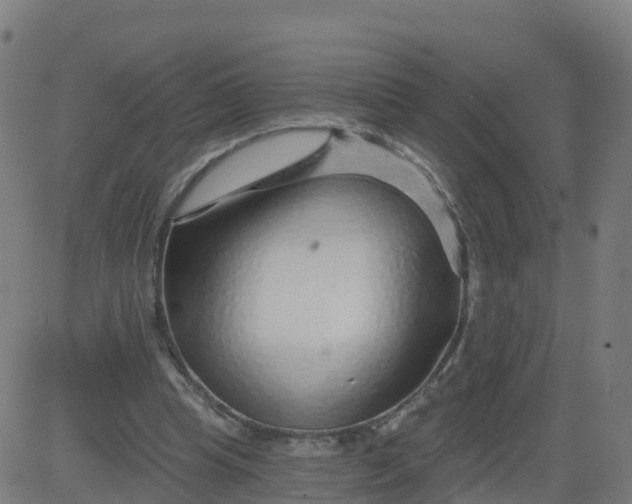 X0000084600345200703091934