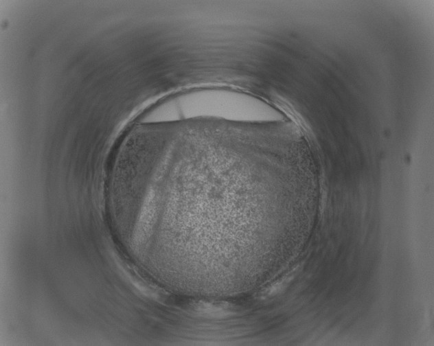 X0000084600346200703091934