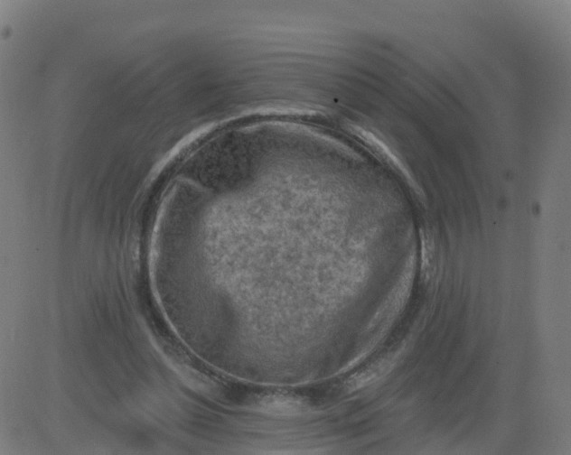 X0000084600348200703091934